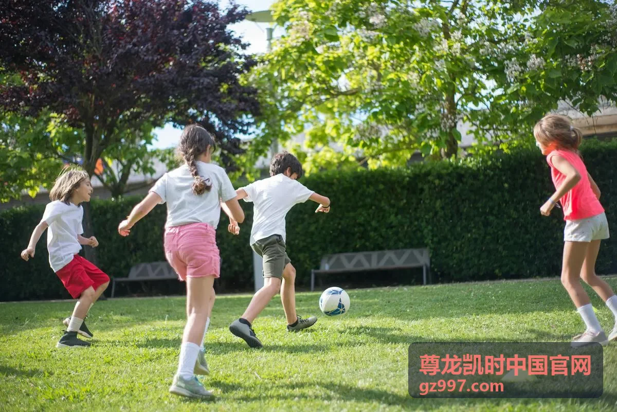 顶部导航、标签与站内搜索组合使用的阅读路径示意